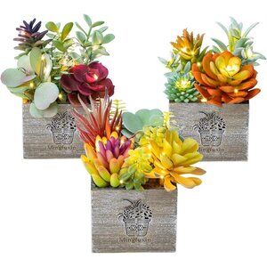 Succulent Plants Artificial 3 Pack Small Morning Mist in Wood Pot Home Decor